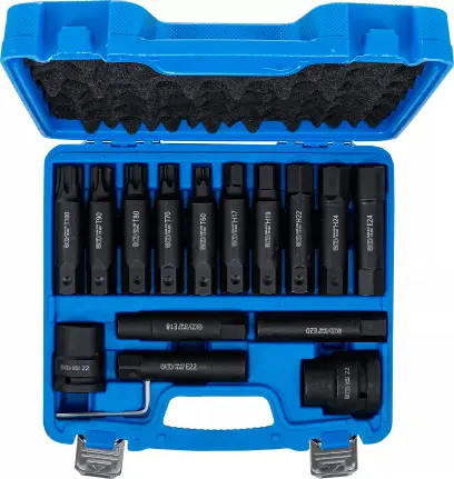 Bity šestihran 22 mm pro Torx, E-profil, Inbus BGS105246, úderové. Sada 16 dílů (BGS105246)