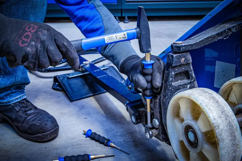 93907-bgs-74591-3-01