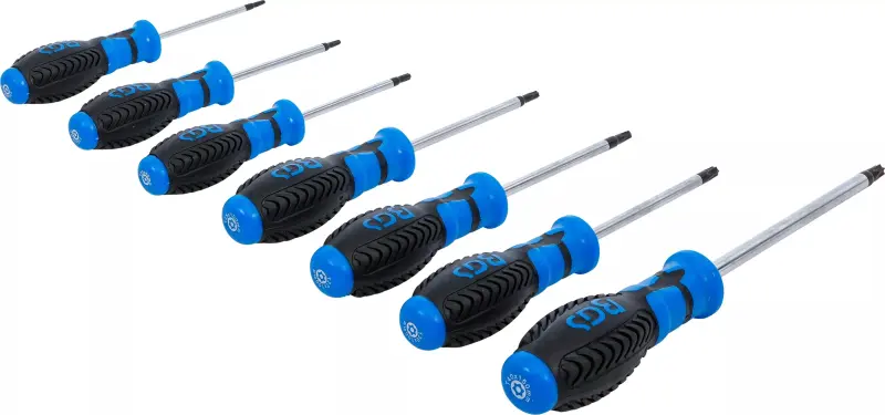 Sada šroubováků T-profil (Torx) T10 ÷ T40 BGS107841 s vrtáním (7 dílů, CV-S2) (BGS107841)