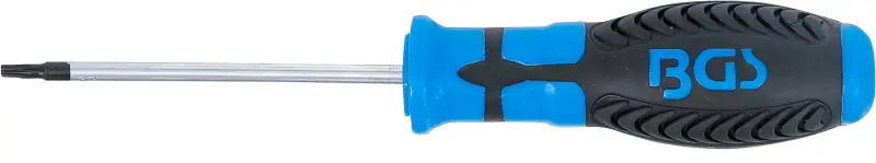 Šroubovák T-profil T10 BGS107849-T10 s otvorem (BGS107849-T10)