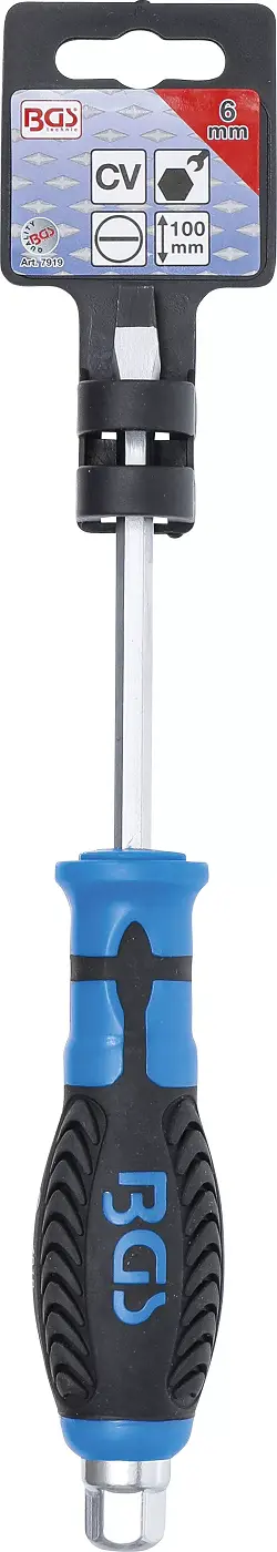 Plochý šroubovák 6 x 100 mm BGS107919, s vnějším šestihranem (BGS107919)